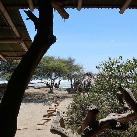 Grillo Tres Puntas Eco-Hostel ソリトス エクステリア 写真